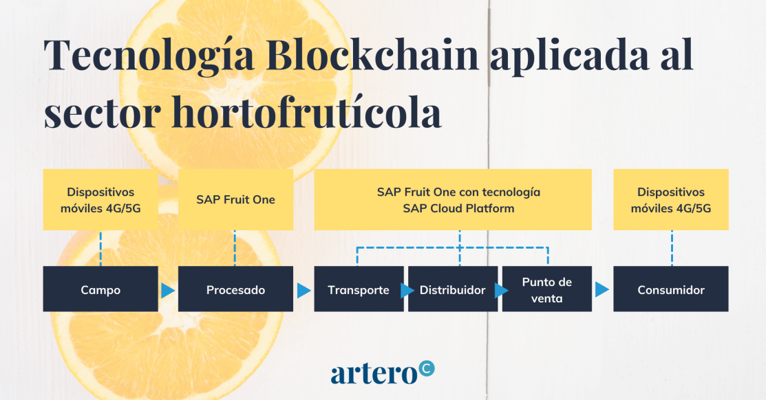 blockchain hortofruticola