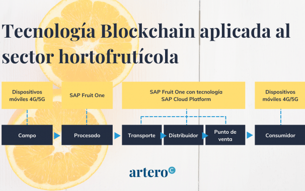 blockchain hortofruticola