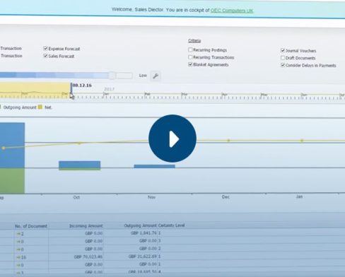 Dashboard Analysis con SAP Business One HANA